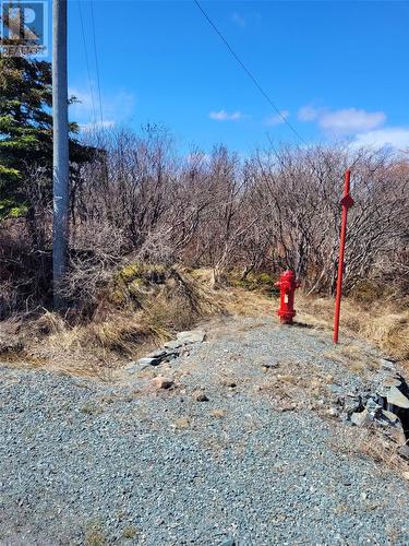 30A Ridge Road, Harbour Main, NL 