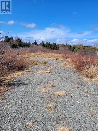 30A Ridge Road, Harbour Main, NL 