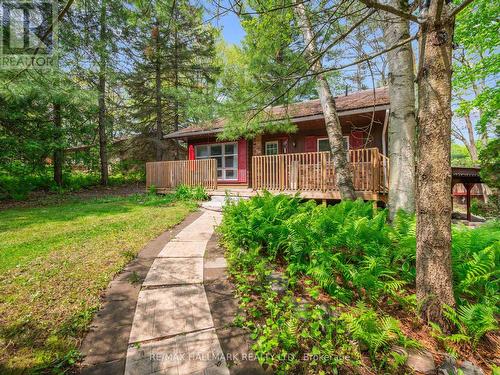 31 Government Dock Road, Kawartha Lakes, ON - Outdoor