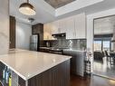 Kitchen - 1115-1150 Rue St-Denis, Montréal (Ville-Marie), QC  - Indoor Photo Showing Kitchen With Upgraded Kitchen 