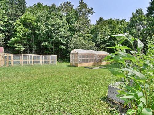 Vue d'ensemble - 3338 Ch. Du Cerf, Mont-Blanc, QC - Outdoor With Backyard