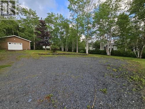 6 Circular Road, Appleton, NL 