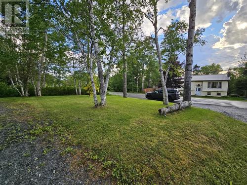 6 Circular Road, Appleton, NL 