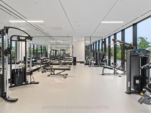 203-30 Tretti Way, Toronto, ON - Indoor Photo Showing Gym Room