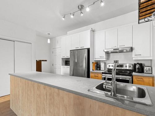 Kitchen - 101-1551 Rue Du Centre, Montréal (Le Sud-Ouest), QC - Indoor Photo Showing Kitchen