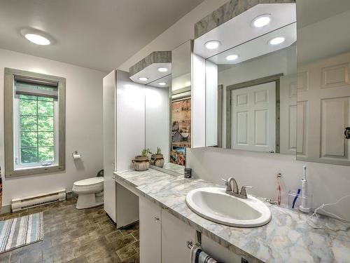 Salle de bains - 50 Rue Du Plateau, Mont-Blanc, QC - Indoor Photo Showing Bathroom