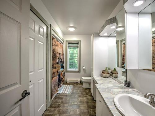 Salle de bains - 50 Rue Du Plateau, Mont-Blanc, QC - Indoor Photo Showing Bathroom