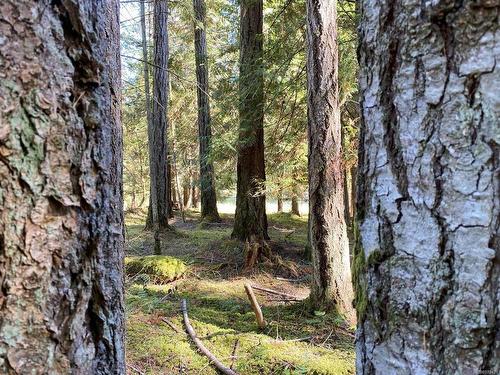 Lt 4 Sitka Grove, Gabriola Island, BC 