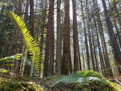 Lt 4 Sitka Grove, Gabriola Island, BC 