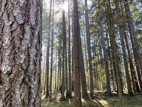 Lt 4 Sitka Grove, Gabriola Island, BC 