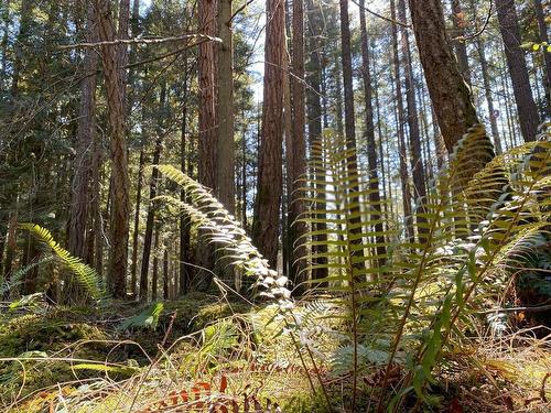 Lt 4 Sitka Grove, Gabriola Island, BC 