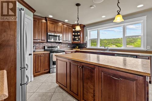 69 Motion Bay Road, Petty Harbour Maddox Cove, NL - Indoor Photo Showing Kitchen