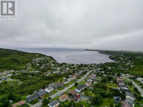 69 Motion Bay Road, Petty Harbour Maddox Cove, NL - Outdoor With Body Of Water With View