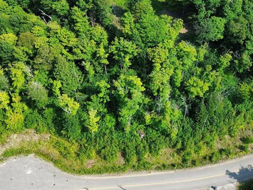 Vue d'ensemble - Rue Des Elfes, Morin-Heights, QC 