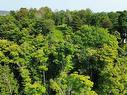 Vue d'ensemble - Rue Des Elfes, Morin-Heights, QC 