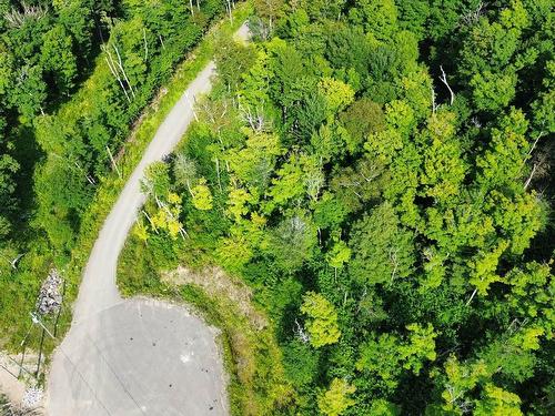 Vue d'ensemble - Rue Des Elfes, Morin-Heights, QC 