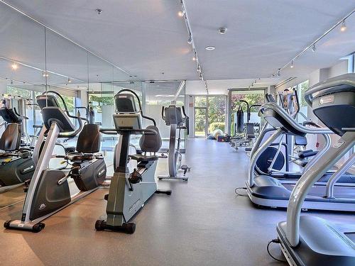 Exercise room - 105-201 Ch. Du Golf, Montréal (Verdun/Île-Des-Soeurs), QC - Indoor Photo Showing Gym Room