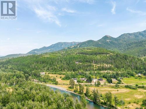 3988 Mcgiverin Road, Fernie, BC - Outdoor With View