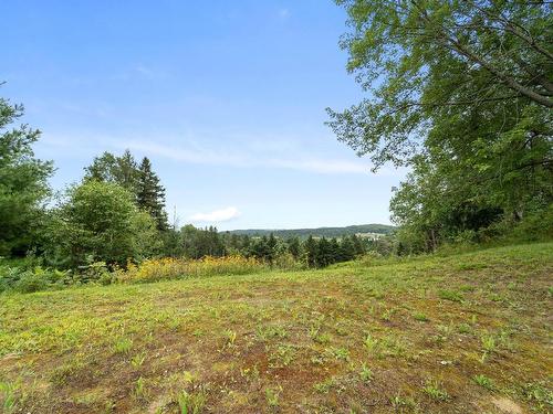 View - 82 Rue Du Village, Arundel, QC - Outdoor With View