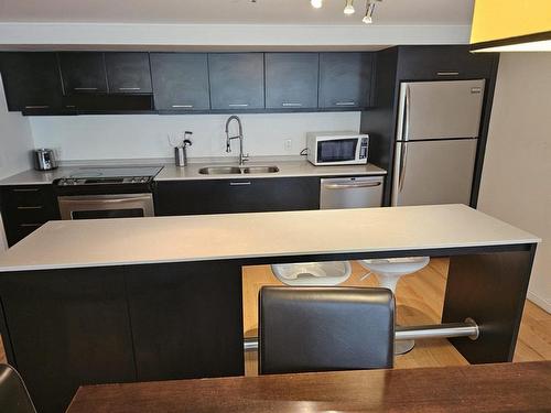 Kitchen - 504-350 Boul. De Maisonneuve O., Montréal (Ville-Marie), QC - Indoor Photo Showing Kitchen With Double Sink