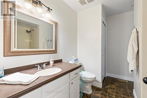 48 Tumbleweed Crescent, London, ON - Indoor Photo Showing Bathroom