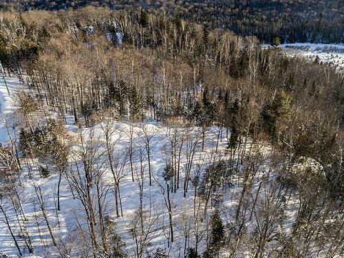 Vue d'ensemble - Prom. Des Cervidés, Morin-Heights, QC 