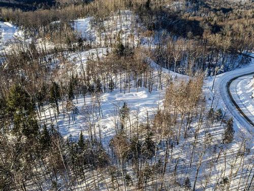 Vue d'ensemble - Prom. Des Cervidés, Morin-Heights, QC 