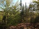 Vue d'ensemble - Prom. Des Cervidés, Morin-Heights, QC 