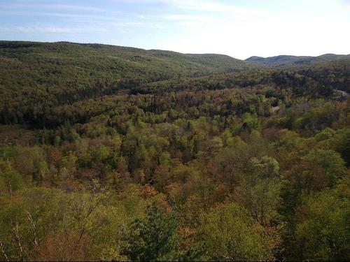 Vue d'ensemble - Prom. Des Cervidés, Morin-Heights, QC 