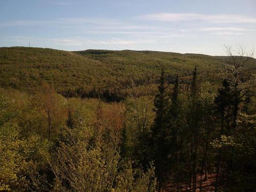 Vue d'ensemble - Prom. Des Cervidés, Morin-Heights, QC 