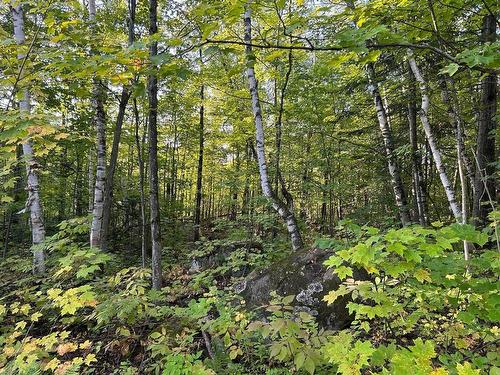 Terre/Terrain - Ch. Du Lac-Morency, Saint-Hippolyte, QC 