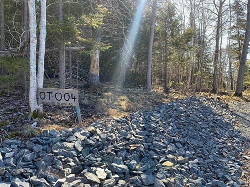 Lot 00-4 Mason'S Beach Road, Lunenburg, NS 