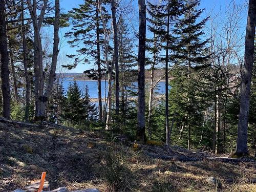 Lot 00-4 Mason'S Beach Road, Lunenburg, NS 