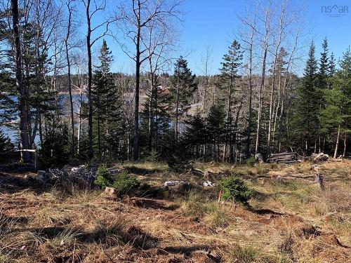 Lot 00-4 Mason'S Beach Road, Lunenburg, NS 