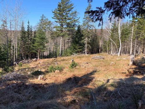 Lot 00-4 Mason'S Beach Road, Lunenburg, NS 