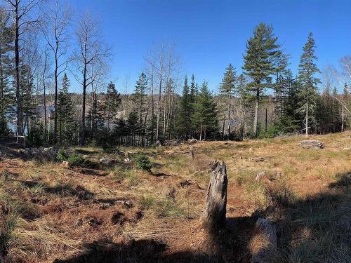 Lot 00-4 Mason'S Beach Road, Lunenburg, NS 