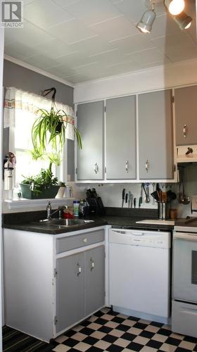 2 First Avenue, Hughes Brook, NL - Indoor Photo Showing Kitchen With Double Sink