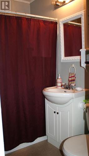 2 First Avenue, Hughes Brook, NL - Indoor Photo Showing Bathroom