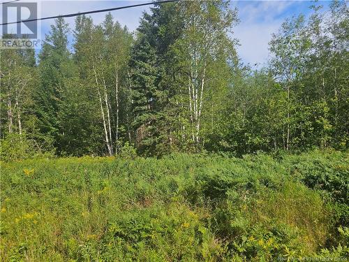 Vacant Lot Route 17, Saint-Léonard-Parent, NB 