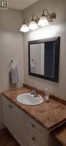 13 Beetle Lane, Anchor Point, NL - Indoor Photo Showing Bathroom