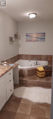 13 Beetle Lane, Anchor Point, NL - Indoor Photo Showing Bathroom