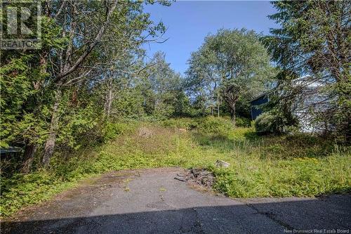 504 Pleasant Street, Saint John, NB - Outdoor With View