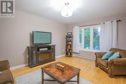 38 Crowdy Street, Carbonear, NL - Indoor Photo Showing Living Room