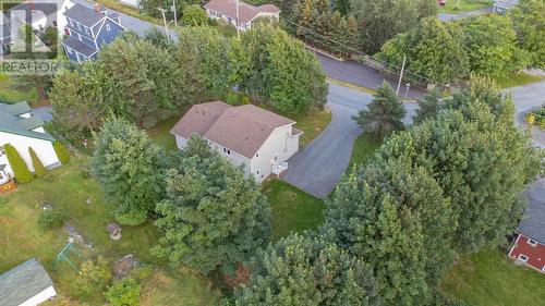 38 Crowdy Street, Carbonear, NL - Outdoor With View