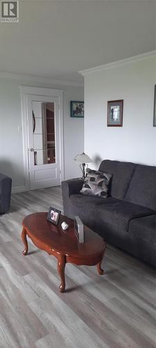 3 South Street, Anchor Point, NL - Indoor Photo Showing Living Room