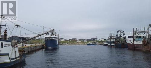 3 South Street, Anchor Point, NL - Outdoor With Body Of Water