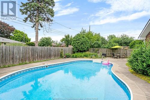 2430 Curry Avenue, Windsor, ON - Outdoor With In Ground Pool With Backyard