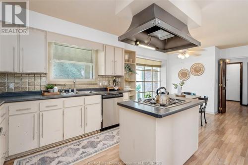 2430 Curry Avenue, Windsor, ON - Indoor Photo Showing Kitchen With Double Sink