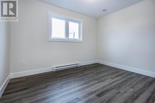 20 Reddley Place, Conception Bay South, NL - Indoor Photo Showing Other Room