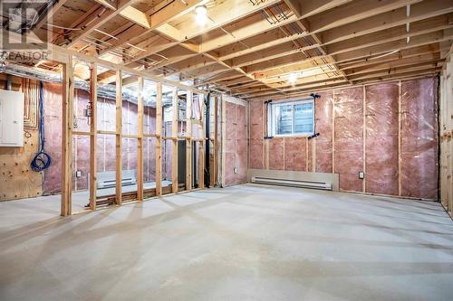 20 Reddley Place, Conception Bay South, NL - Indoor Photo Showing Basement